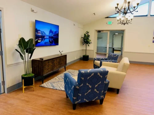 A cozy lounge featuring blue patterned chairs, a wooden TV cabinet, a plant, and a large screen displaying a cityscape